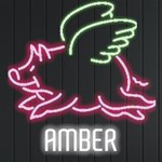 Personalized Flying Pig Name Neon Signs and Lights Front