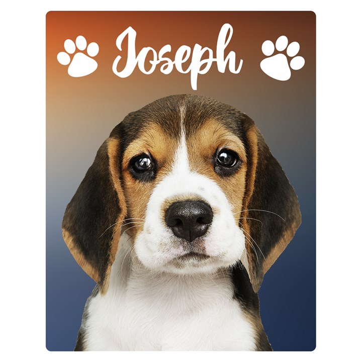 Personalized Dog Photo Name Blanket Two Sides Premium Plush Fleece Blanket (Teen Size)