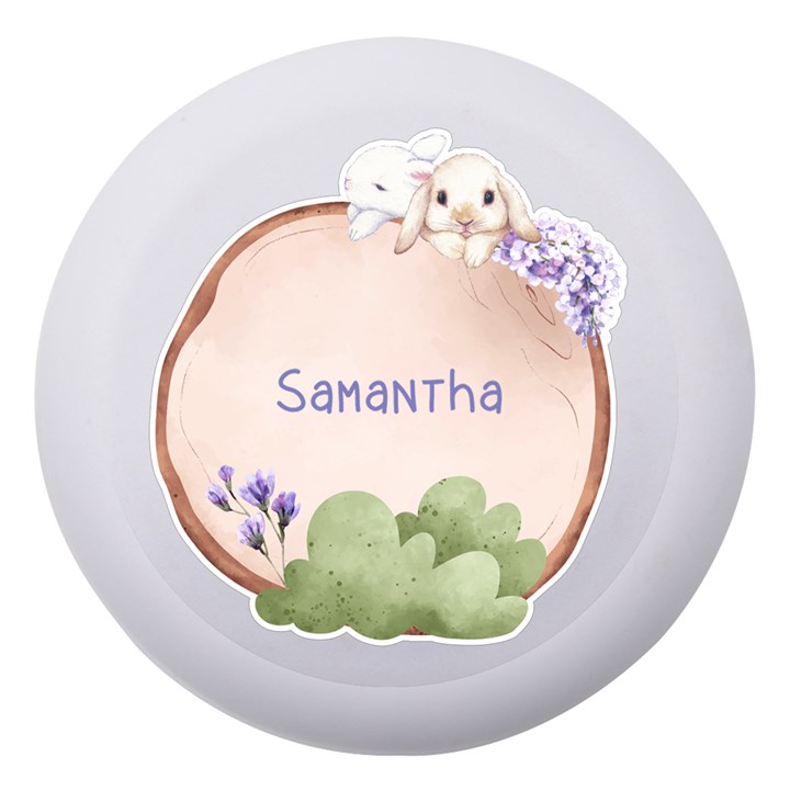 Personalized Name Rabbit Dento Box Dento Box with Mirror
