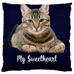 Personalized Photo Any Text Large Cushion 16  Baby Flannel Cushion Case (Two Sides) Back