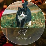 Personalized Name Photo Pets UV Print Acrylic Ornament Round UV Print Acrylic Ornament Round Front