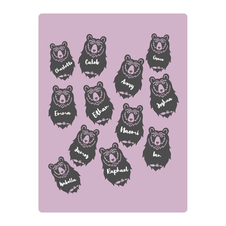 Personalized Name Bear Family Two Sides Premium Plush Fleece Blanket (Mini)