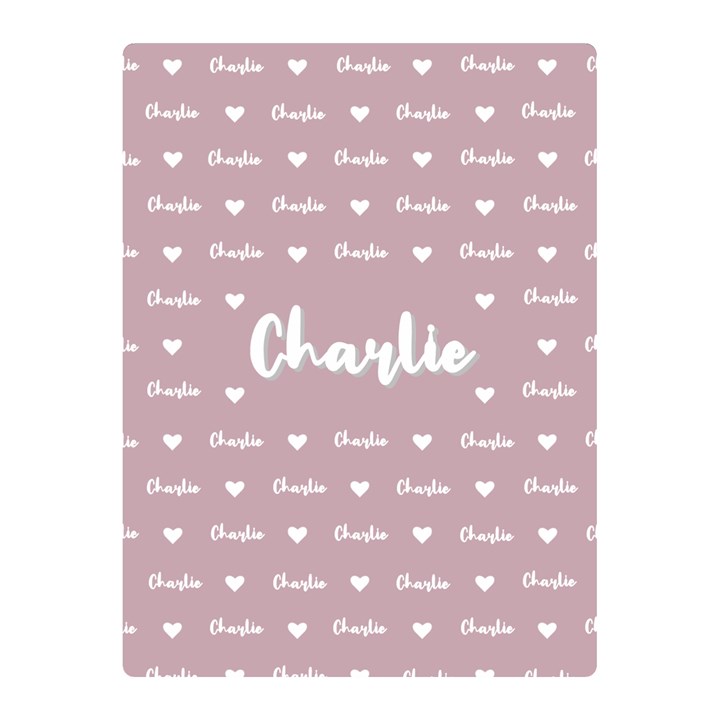Personalized Name Kids Baby Gift Two Sides Premium Plush Fleece Blanket (Mini)