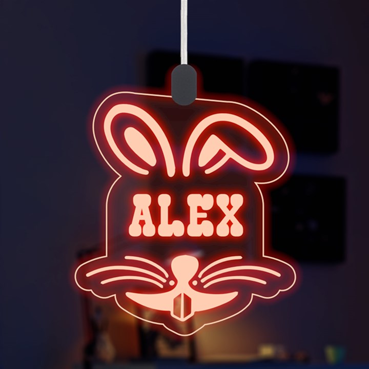 Easter Rabbit LED Acrylic Ornament